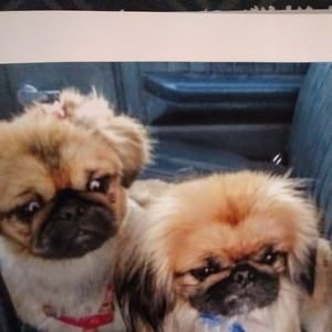 Meet your Posher, Tammy